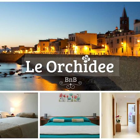 B&B Le Orchidee 알게로 외부 사진