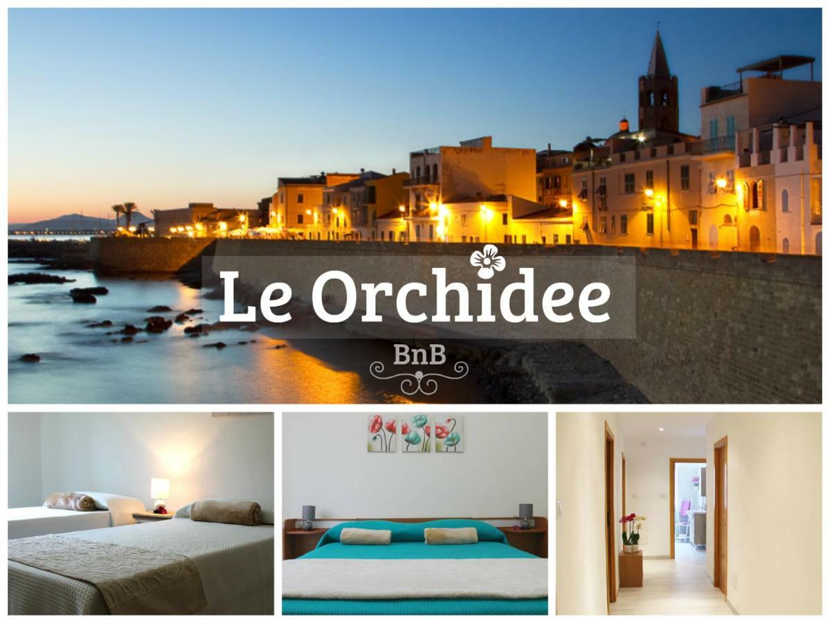 B&B Le Orchidee 알게로 외부 사진